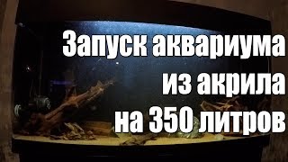 Запуск аквариума с персами и черепахами. Как сверлить акрил? Как перезапустить аквариум за час.