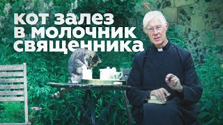 В Англии кот попытался сорвать онлайн-проповедь, опустив лапку в молочник священника