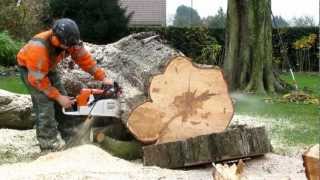 Stihl MS880 met 1.2 meter blad.