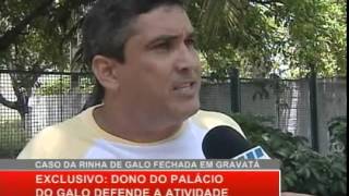 Rinha de Galo não é Crime
