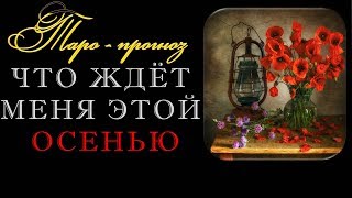 Прогноз на ОСЕНЬ для всех  Что вас ждёт осенью  Онлайн гадание на картах Таро