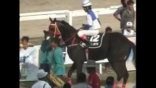 PACUAN KUDA, NEW:  INDONESIA  DERBY 2015