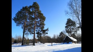 16.02.19 Шатурторф - 21й поселок - Шатура