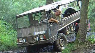 Der Pinzgauer