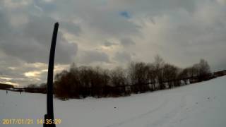 Голуби 21.01.17