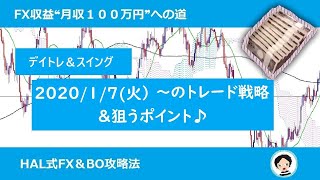 【FXデイトレ＆スイングトレード必勝戦略1/7】FX収益月収100万円への道