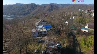 В селе Ордынка пенсионерка стала жертвой дикого зверя