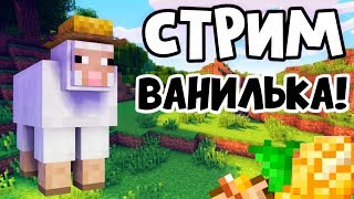 СТРИМ ВАНИЛЬКА ! ОЦЕНКА КАНАЛОВ ЗА подписку!