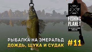 Fishing Planet #11 - Рыбалка на Эмеральд. Дождь, щука и судак