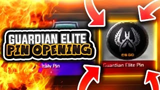 GUARDIAN ELITE PIN OPENING! (CS GO Collectible Pin Capsule Unboxing)