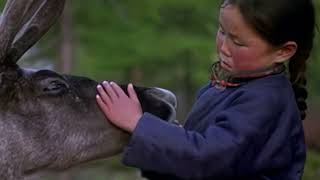 With the Tsaatans and their reindeers - The Lords of the Animals