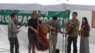 Sully Tuttle sings Bob Dylan's Buckets of Rain