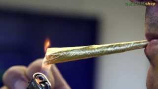 Shine 24 Karat Gold Papers