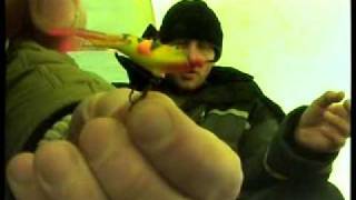 Балансир Aqua Proglot (подводные съёмки)