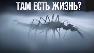Следы Больших Миров: НАСА объявит о нахождении инопланетных сигналов и признак жизни, что тогда?