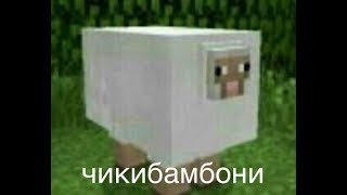 ЧИКИБАМБОНИ ЧИКИБАМБОНИТ НА ПРОТЯЖЕНИИ 10 ЧАСОВ И 11 МИНУТ