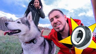 ТОП ПОКУПКИ! УРА! Лучший gps трекер для хаски / tracker товары для собаки