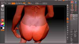 Poser Go ZBrush