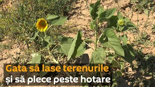 Agricultori, gata să lase tot și pe plece peste hotare