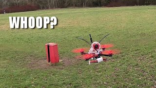 Toohthpick Whoop? Id fly it