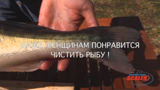 Рыбочистка . Электрическая рыбочистка EFS1