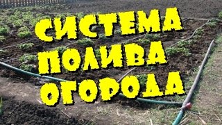 Дачный ответ система полива огорода и сада сделай сам своими руками Дачные хитрости Дачные советы