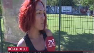 Canifornia Dog Hotel / TRT - HABER Çekimi
