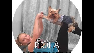 Йога Челлендж с собакой / Yoga Challenge /Yoga Dogs of Marta Sweet ?