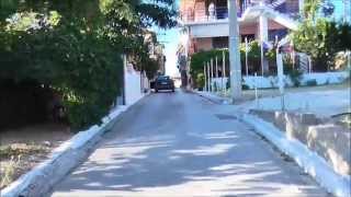 Αρκούδι Ηλεία