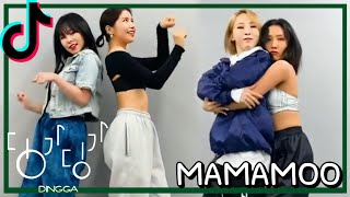 [마마무]딩가딩가 (Dingga) - 틱톡(Tiktok) 선공개영상