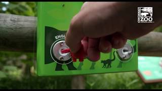 Zoo Keys are Back at the Cincinnati Zoo