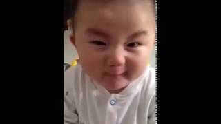 Cute Baby Teast Organge