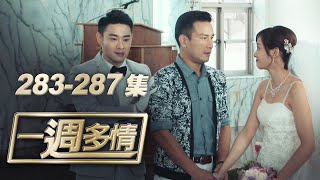 一週多情 EP283-287 | 加烈放手 群飛戀終開花結果！