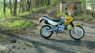 Honda Dominator NX 650