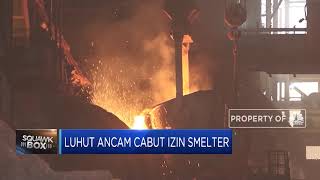 Luhut Ancam Cabut Izin Smelter