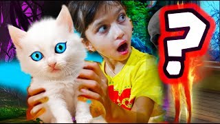 СПАСЕНИЕ КОТЕНКА + КОНКУРС приключение маленького котенка мультик секреты от девочек видео для детей