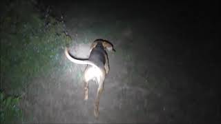 3067