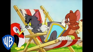Tom und Jerry auf Deutsch | Jerry und der kleine Specht | WB Kids