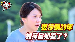 《多情大爆爆》多情城市 EP195 被慘騙20年 如萍全知道了？