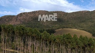 MARÉ - GIRASSOL (Clipe Oficial)