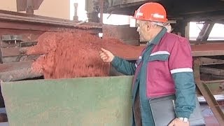 Лукашенко рассказал российским журналистам о расследовании громкой аферы