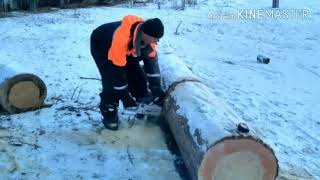 Делаем колоду (борть) для пчел. Часть 1.