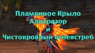 Пламенное Крыло Алисразор и Чистокровный огнеястреб