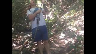 Maugli in jungle