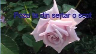 cargo-daca ploaia s-ar opri