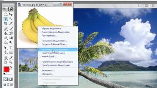Выделение объекта в Adobe Photoshop