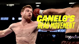 Canelo's Head Movement Is Out Of This World ????