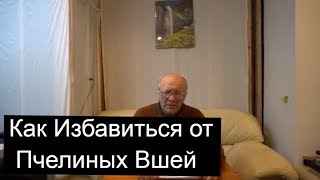 №37 Как Избавиться от Пчелиных Вшей? Обмен Опытом.  Пчеловодство.Пасека.