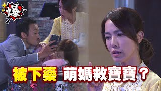《多情大爆爆》多情城市 EP307 被下藥 萌媽救寶寶？