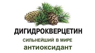 Альфа-Дигидрокверцетин. Незаменимый антиоксидант.